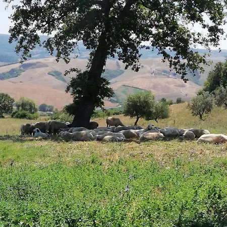 Villa Agriturismo Collomici Celle sul Rigo Exterior foto