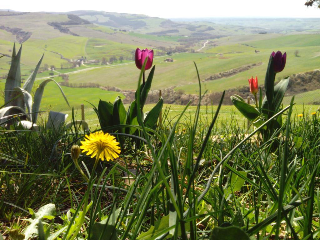 Alojamento de Turismo Rural Collomici