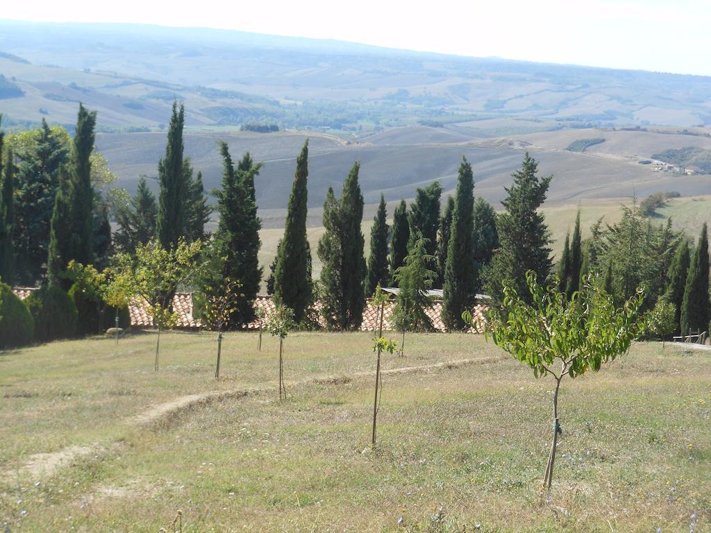 Collomici