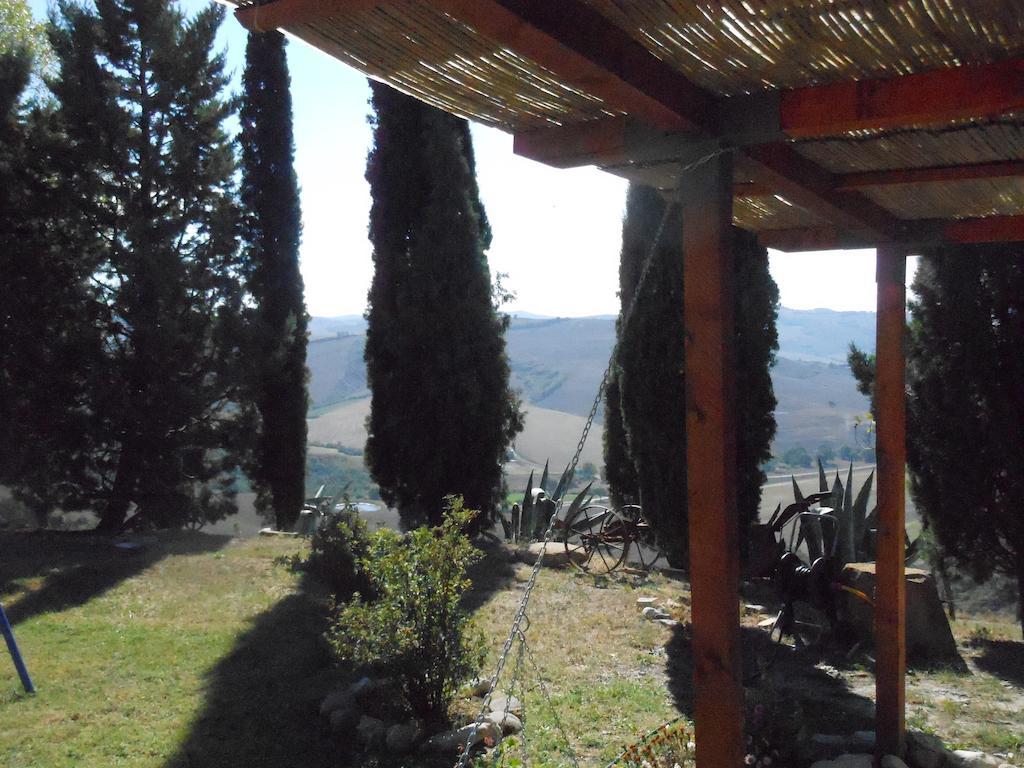 Collomici