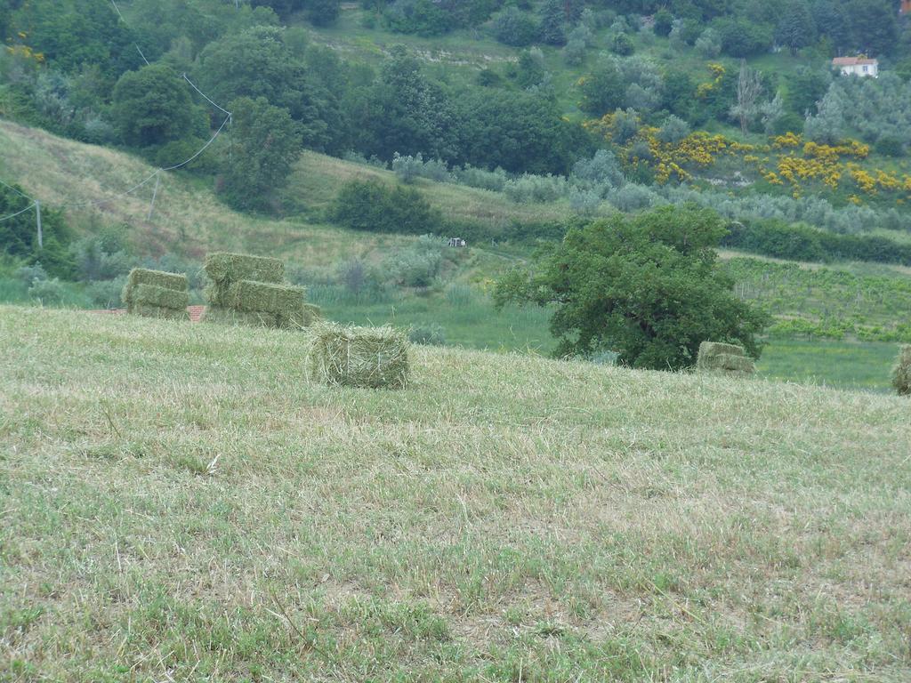 Alojamento de Turismo Rural Collomici Celle sul Rigo