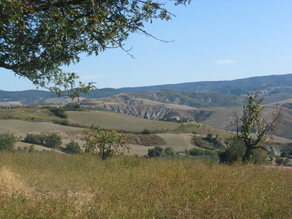 Collomici