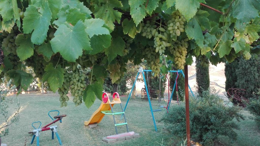 Alojamento de Turismo Rural Collomici *
