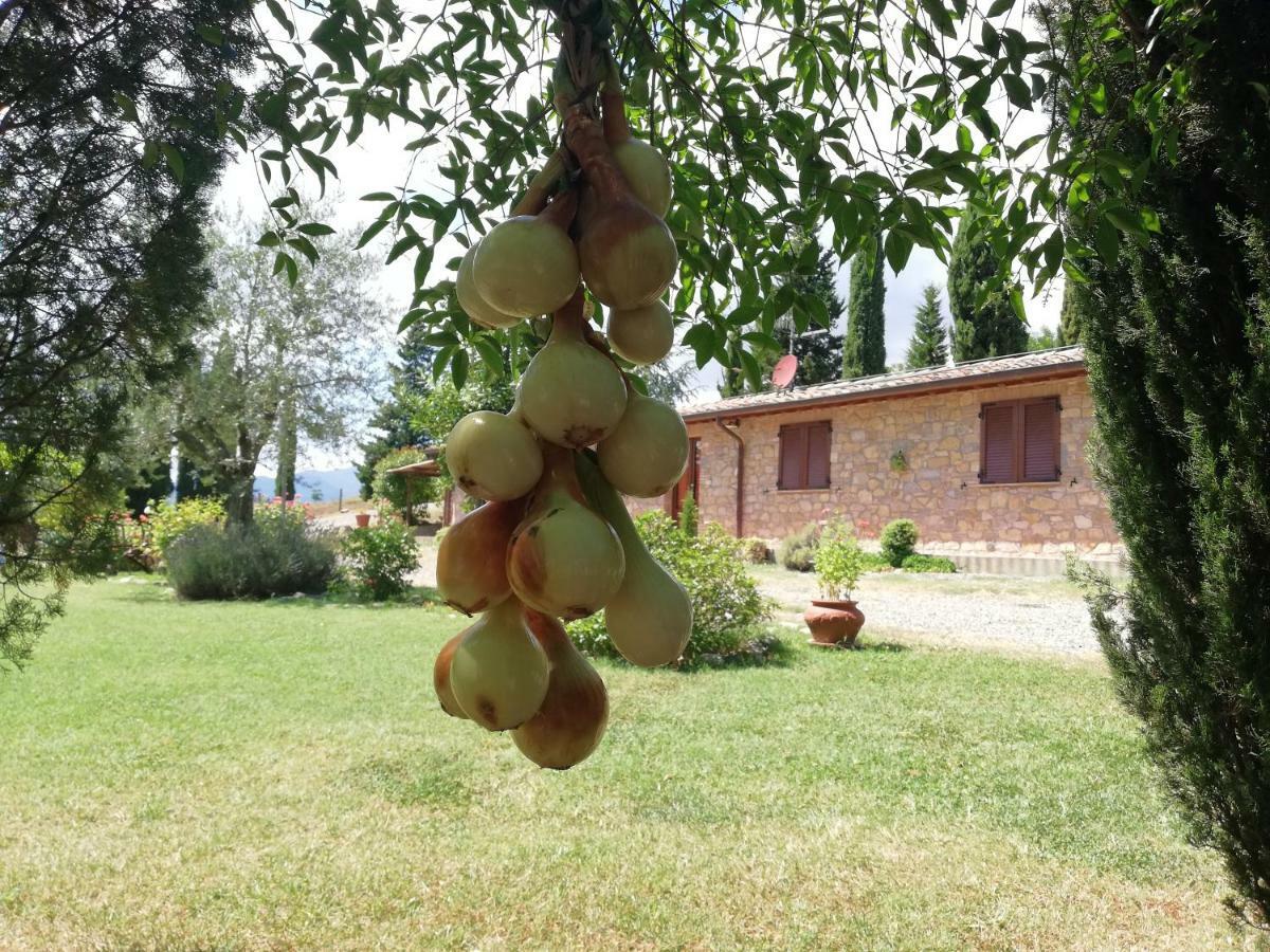 Collomici * Celle sul Rigo