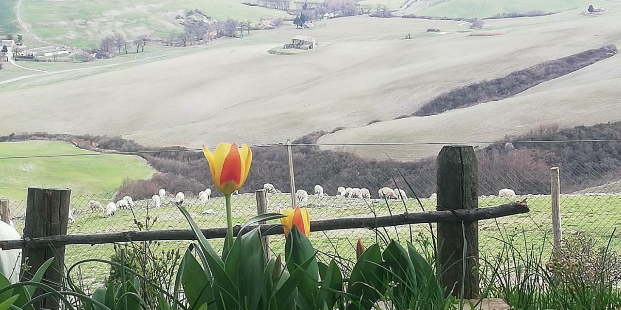 Agriturismo Collomici Celle sul Rigo