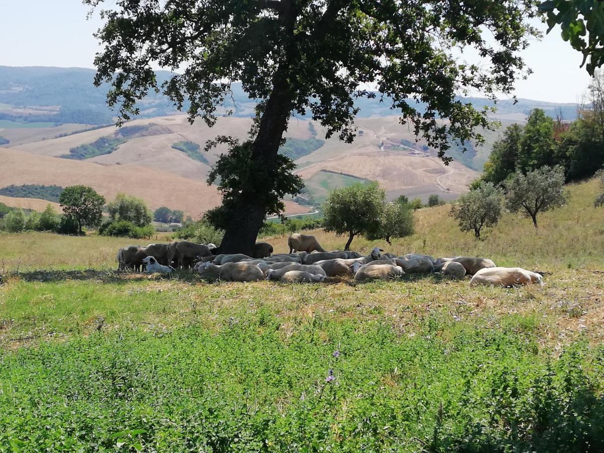 Alojamento de Turismo Rural Collomici *